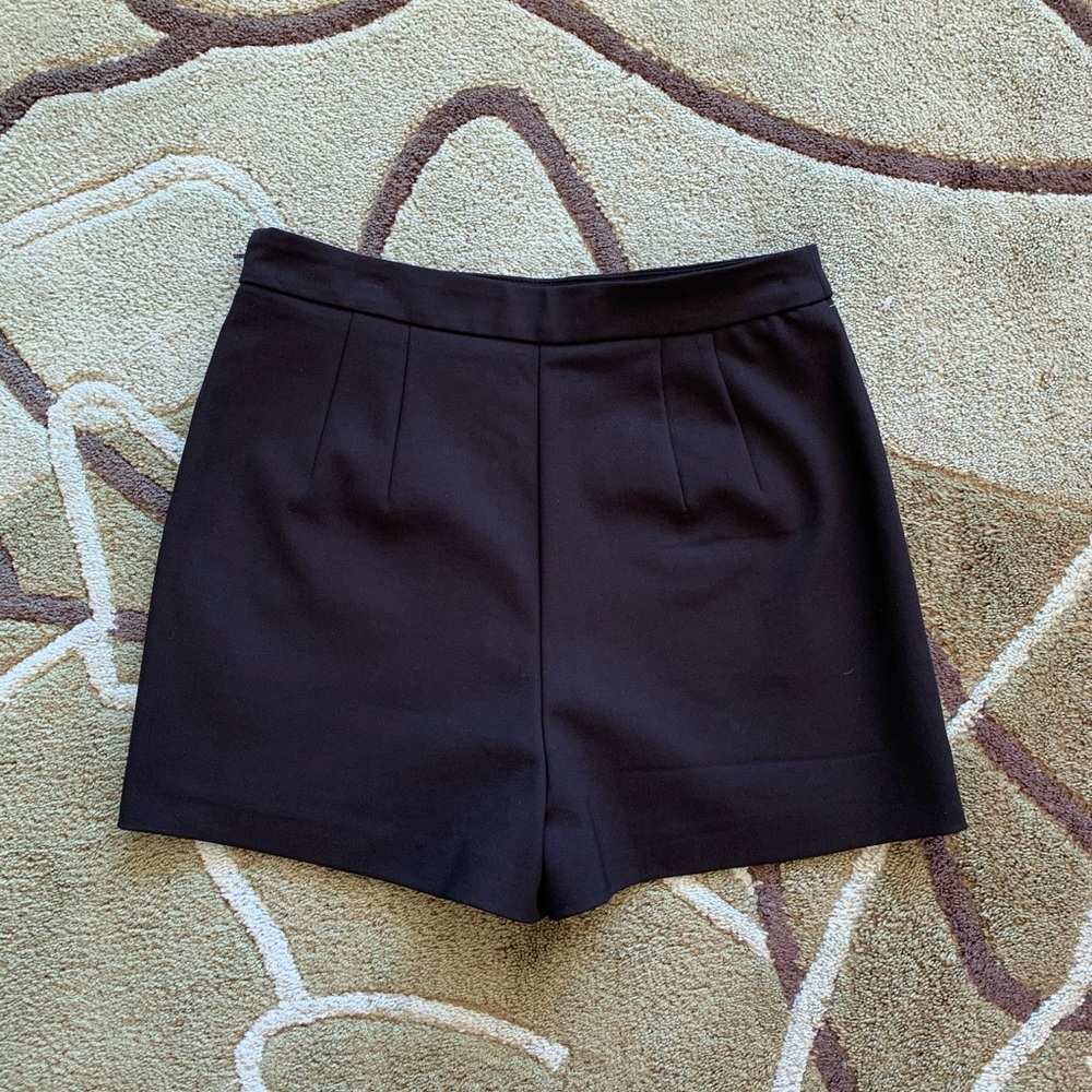 Zara 2 in 1 Shorts & Skirt